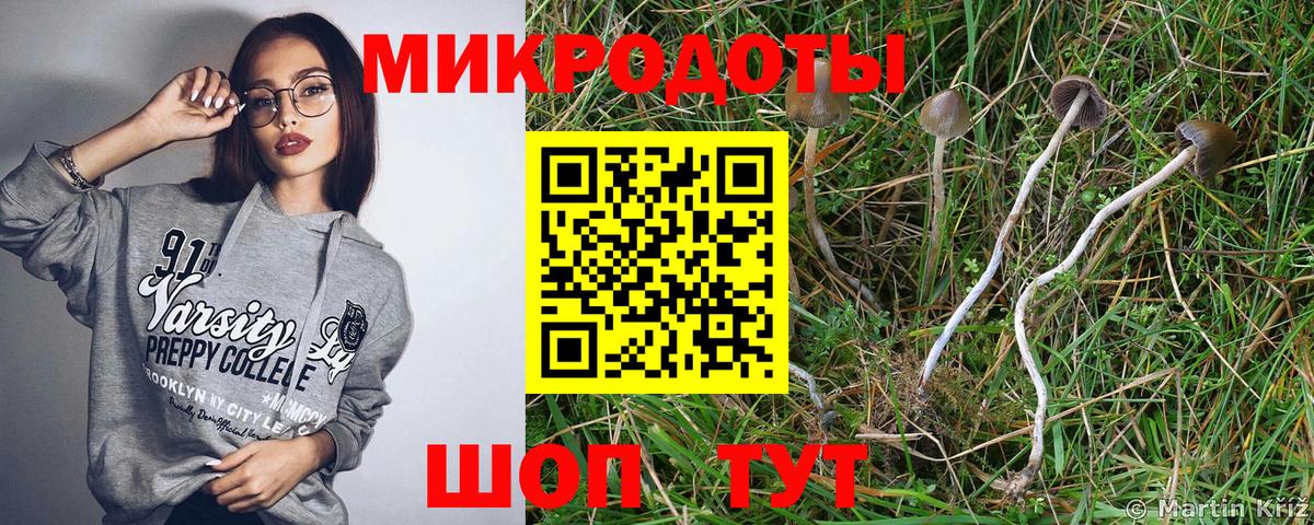 Галлюциногенные грибы Cubensis  Вход с VPN  Нефтекумск 